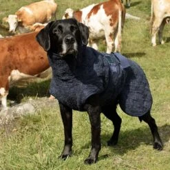 Siccaro WetDog SupremePro 2.0 -Hondenbenodigdheden siccaro wetdog supremepro 190159 1000 none