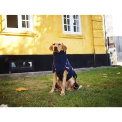 Siccaro WetDog SupremePro 2.0 -Hondenbenodigdheden siccaro wetdog supremepro 20 216994 2000 none