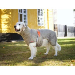 Siccaro WetDog SupremePro 2.0 -Hondenbenodigdheden siccaro wetdog supremepro 20 216997 2000 none