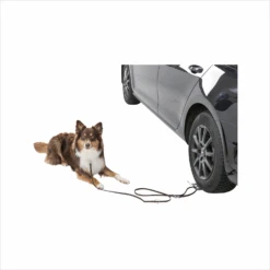 Trixie Oprijplaat Auto 11 Trixie Oprijplaat Auto -Hondenbenodigdheden trixie oprijplaat auto 205037 1500 none