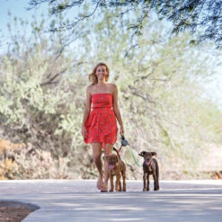 Wigzi Dual Doggie 2.0 11 Wigzi Dual Doggie 2.0 -Hondenbenodigdheden wigzi dual doggie 20 167839 1500 none