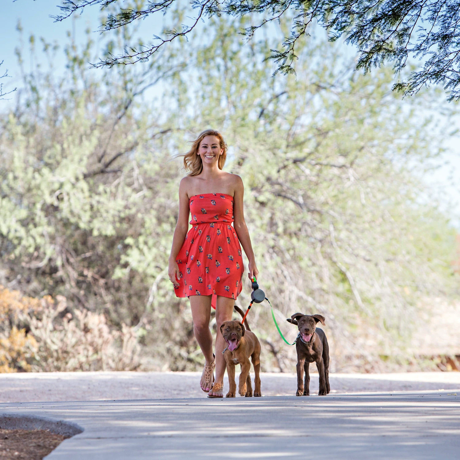 Wigzi Dual Doggie 2.0 7 Wigzi Dual Doggie 2.0 - Afbeelding 5