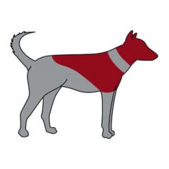 ZenPet Pro Collar 26 ZenPet Pro Collar -Hondenbenodigdheden zenpet pro collar 193865 0500 none